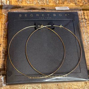 Large Hoop Earrings (14 Karat Gold Dipped)